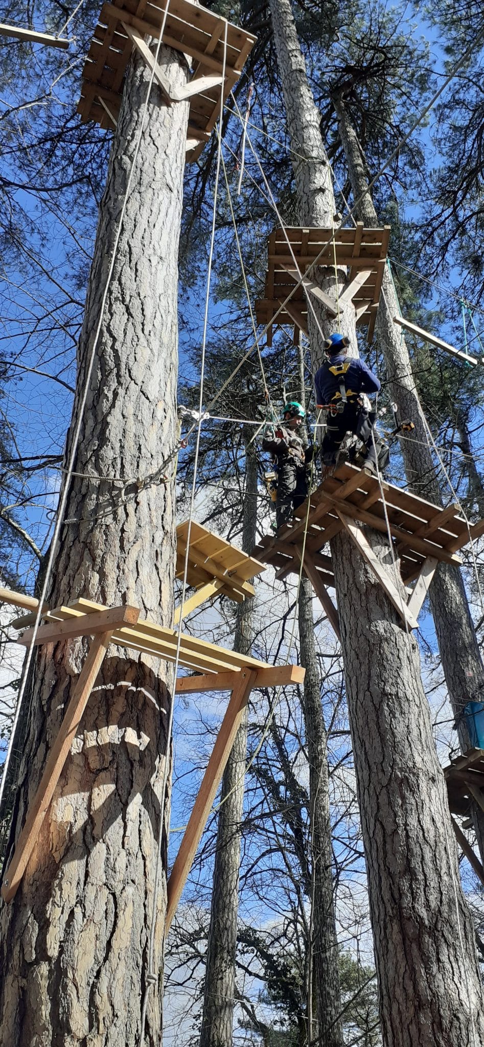 Parcours accrobranche 3