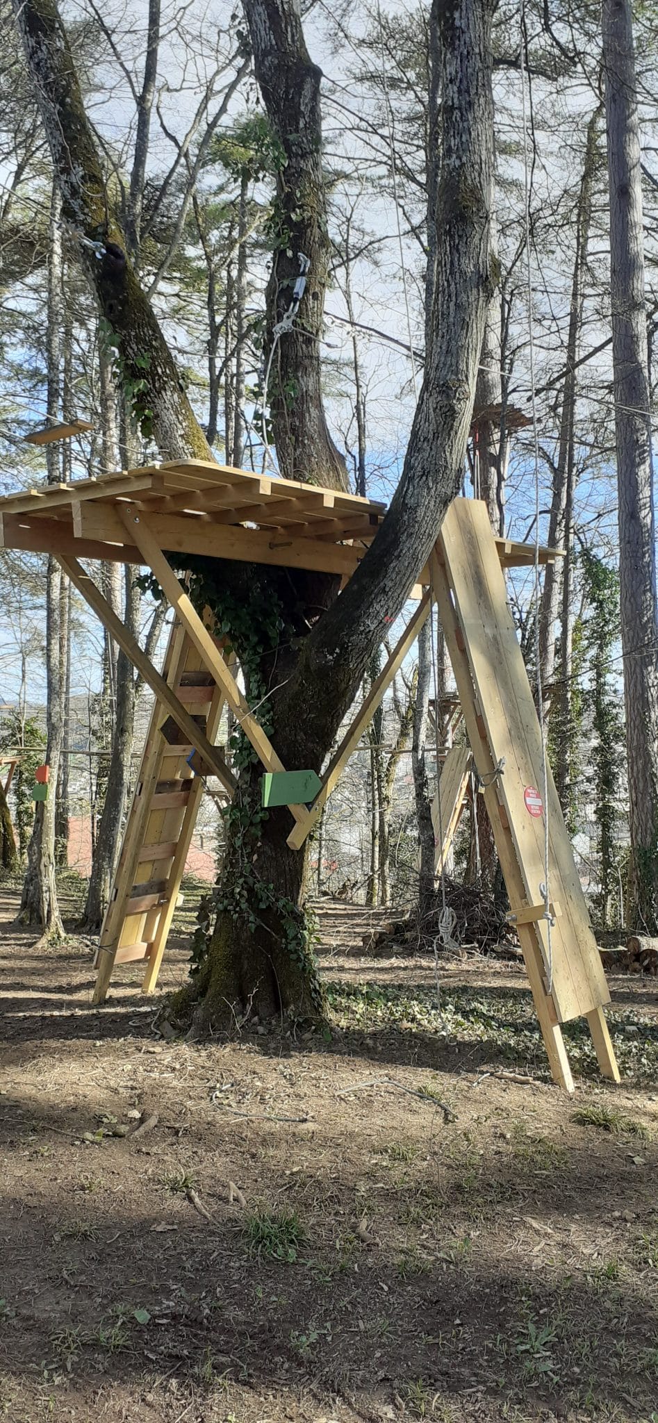 Parcours accrobranche 2